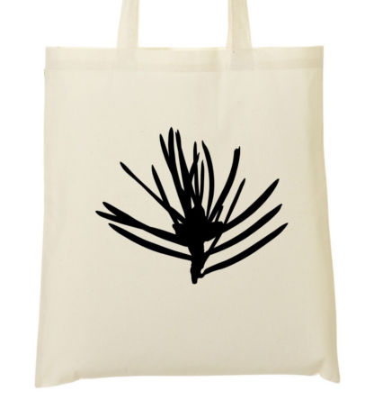 كيس الكزبرة